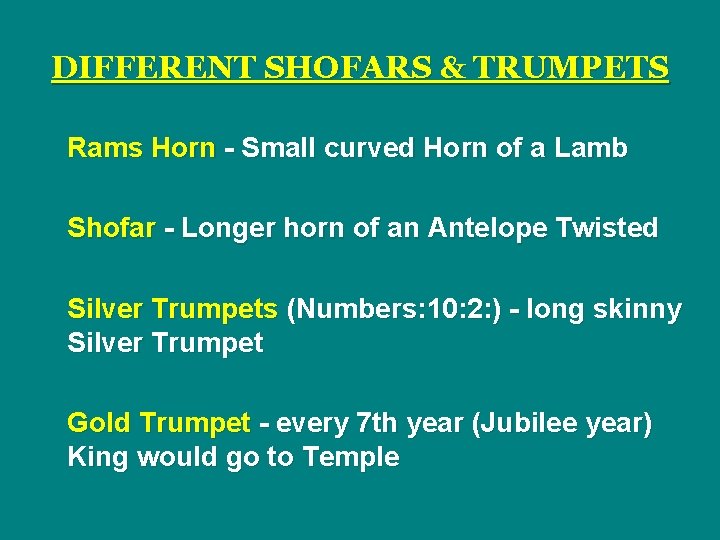 DIFFERENT SHOFARS & TRUMPETS Rams Horn - Small curved Horn of a Lamb Shofar