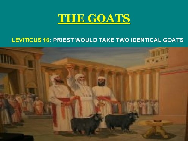 THE GOATS LEVITICUS 16: PRIEST WOULD TAKE TWO IDENTICAL GOATS 