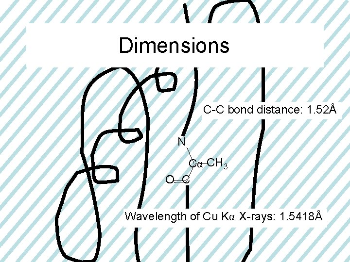 Dimensions C-C bond distance: 1. 52Å N Cα CH 3 O C Wavelength of