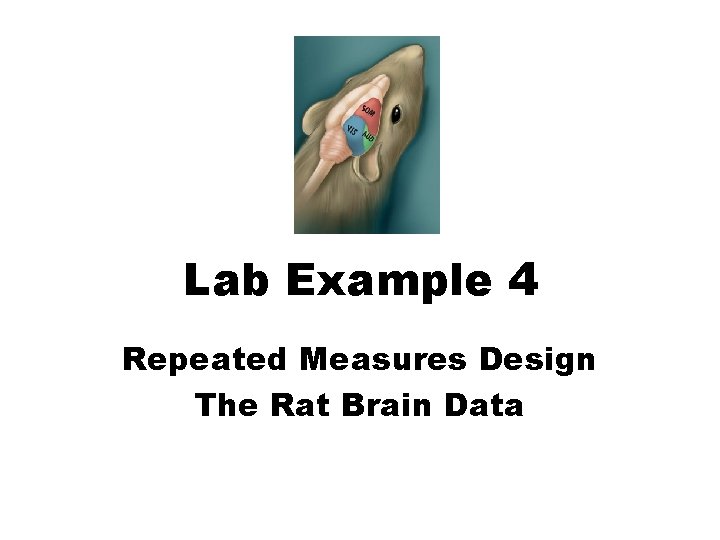 Lab Example 4 Repeated Measures Design The Rat Brain Data Lab Example 4 Repeated Measures Design The Rat Brain Data