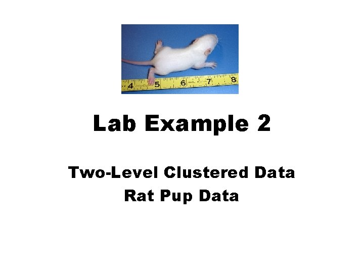 Lab Example 2 Two-Level Clustered Data Rat Pup Data Lab Example 2 Two-Level Clustered Data Rat Pup Data