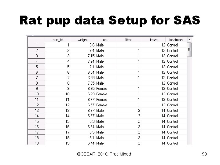 Rat pup data Setup for SAS ©CSCAR, 2010: Proc Mixed 99 Rat pup data Setup for SAS ©CSCAR, 2010: Proc Mixed 99
