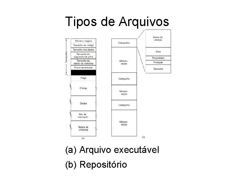 Tipos de Arquivos (a) Arquivo executável (b) Repositório 