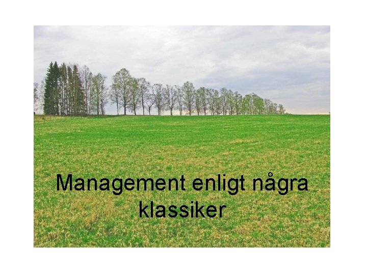 Management enligt några klassiker 