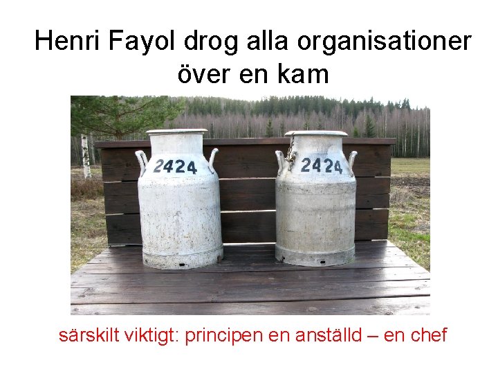 Henri Fayol drog alla organisationer över en kam särskilt viktigt: principen en anställd –