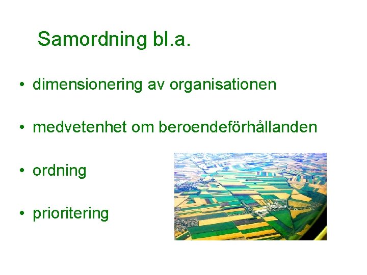 Samordning bl. a. • dimensionering av organisationen • medvetenhet om beroendeförhållanden • ordning •