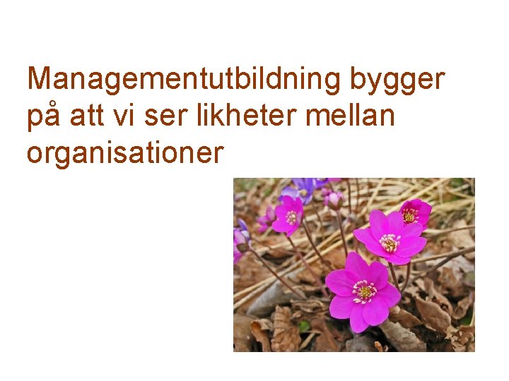 Managementutbildning bygger på att vi ser likheter mellan organisationer 