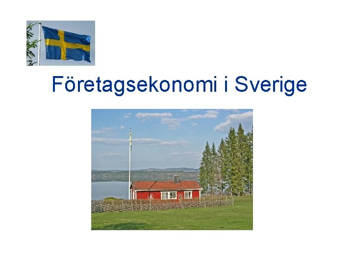 Företagsekonomi i Sverige 