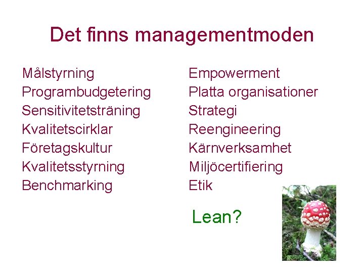 Det finns managementmoden Målstyrning Programbudgetering Sensitivitetsträning Kvalitetscirklar Företagskultur Kvalitetsstyrning Benchmarking Empowerment Platta organisationer Strategi