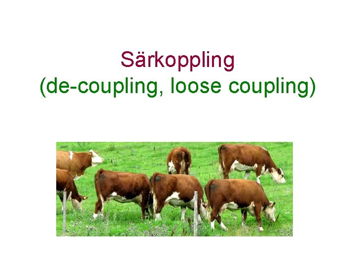 Särkoppling (de-coupling, loose coupling) 