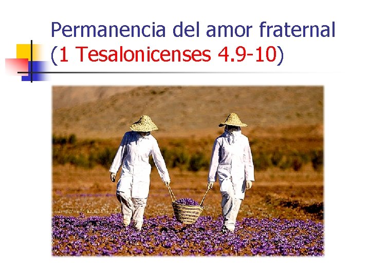 Permanencia del amor fraternal (1 Tesalonicenses 4. 9 -10) 