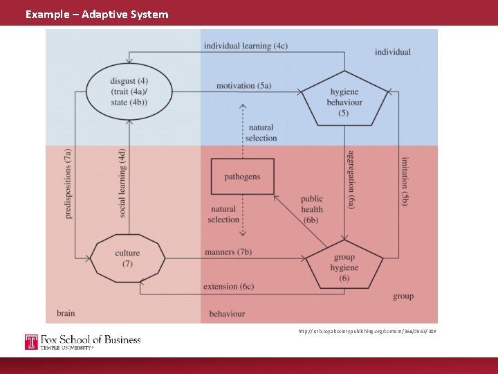 Example – Adaptive System http: //rstb. royalsocietypublishing. org/content/366/1563/389 