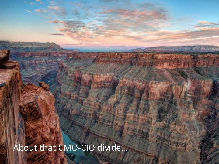 About that CMO-CIO divide… 