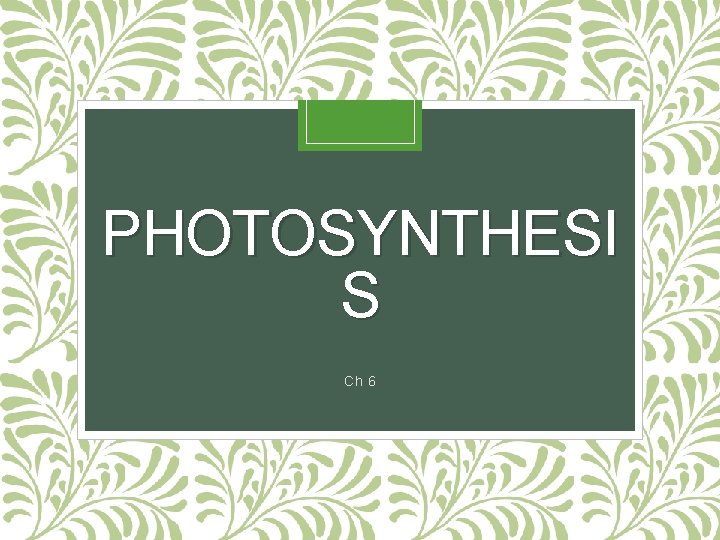 PHOTOSYNTHESI S Ch 6 