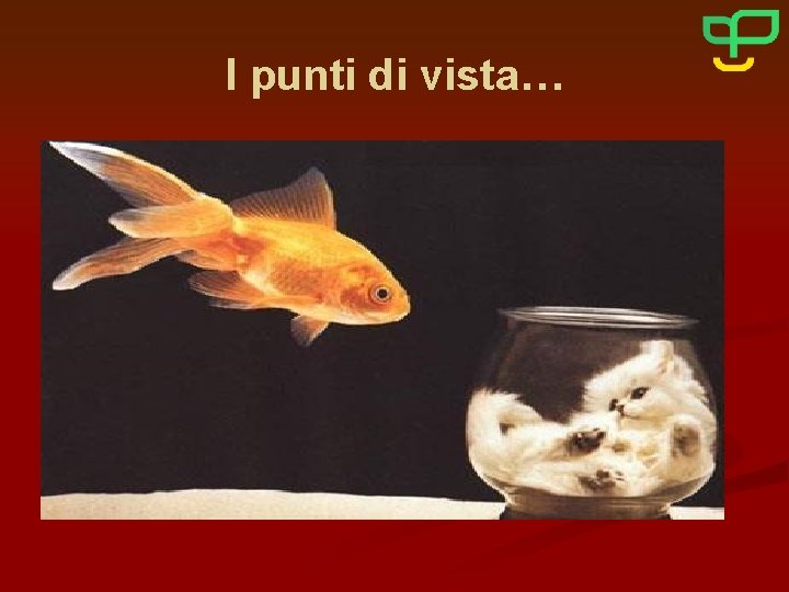 I punti di vista… 