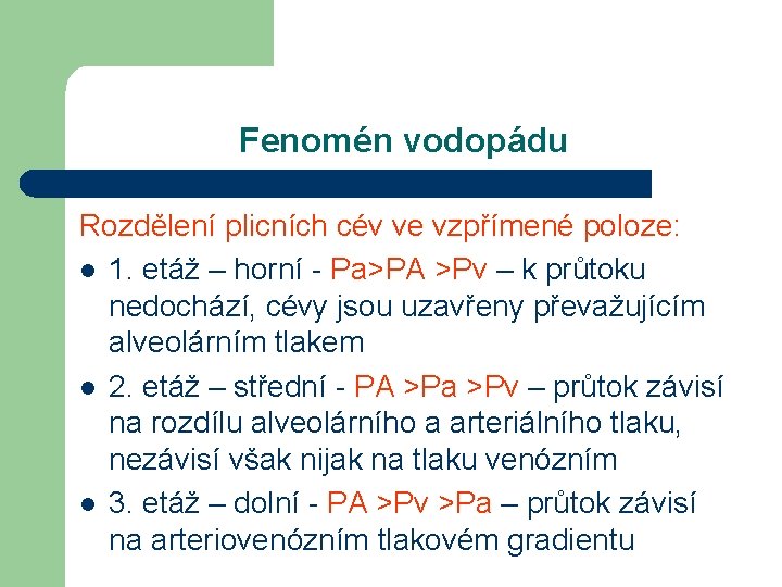 Fenomén vodopádu Rozdělení plicních cév ve vzpřímené poloze: l 1. etáž – horní -