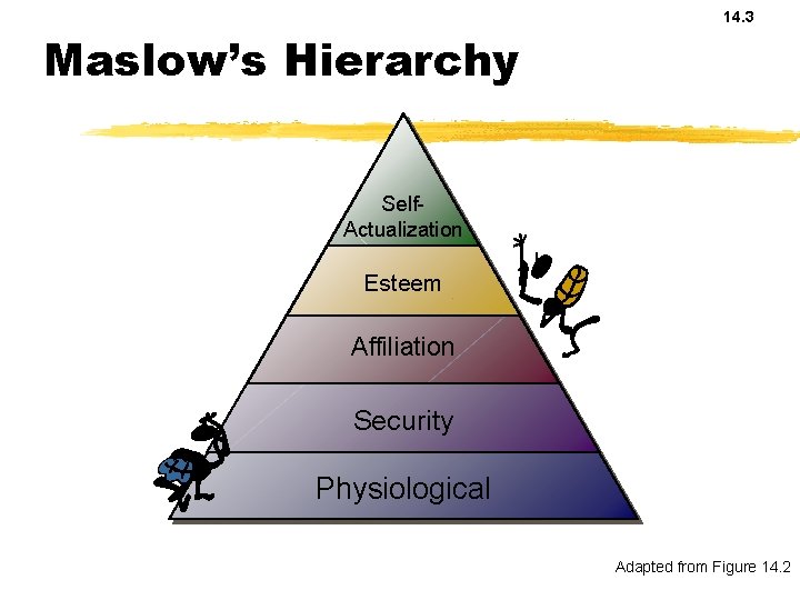 14. 3 Maslow’s Hierarchy Self. Actualization Esteem Affiliation Security Physiological Adapted from Figure 14.