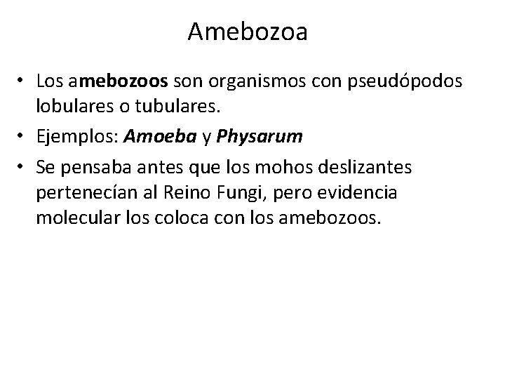 Amebozoa • Los amebozoos son organismos con pseudópodos lobulares o tubulares. • Ejemplos: Amoeba