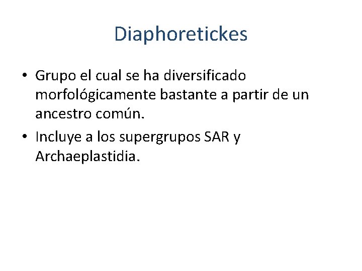 Diaphoretickes • Grupo el cual se ha diversificado morfológicamente bastante a partir de un