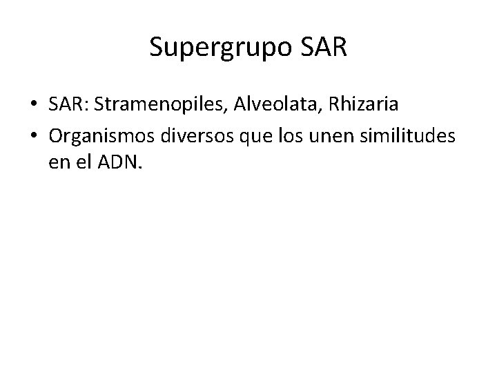 Supergrupo SAR • SAR: Stramenopiles, Alveolata, Rhizaria • Organismos diversos que los unen similitudes