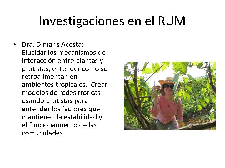 Investigaciones en el RUM • Dra. Dimaris Acosta: Elucidar los mecanismos de interacción entre