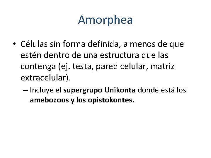 Amorphea • Células sin forma definida, a menos de que estén dentro de una