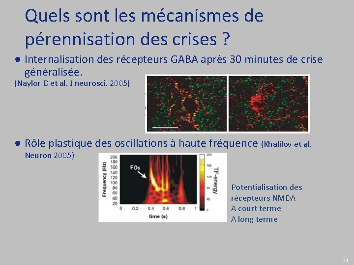 Quels sont les mécanismes de pérennisation des crises ? ● Internalisation des récepteurs GABA