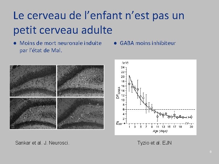 Le cerveau de l’enfant n’est pas un petit cerveau adulte ● Moins de mort