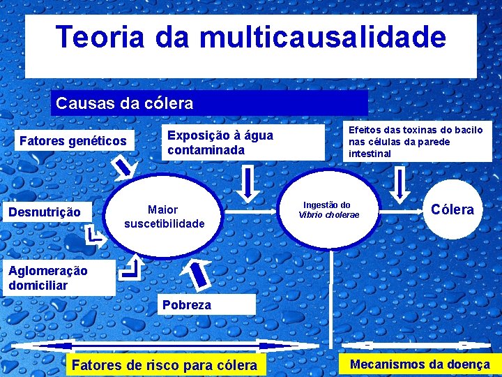 Teoria da multicausalidade Causas da cólera Fatores genéticos Desnutrição Exposição à água contaminada Maior