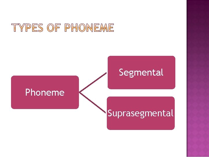 Segmental Phoneme Suprasegmental 