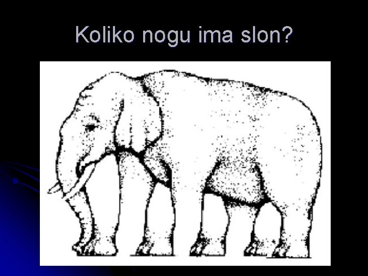 Koliko nogu ima slon? 