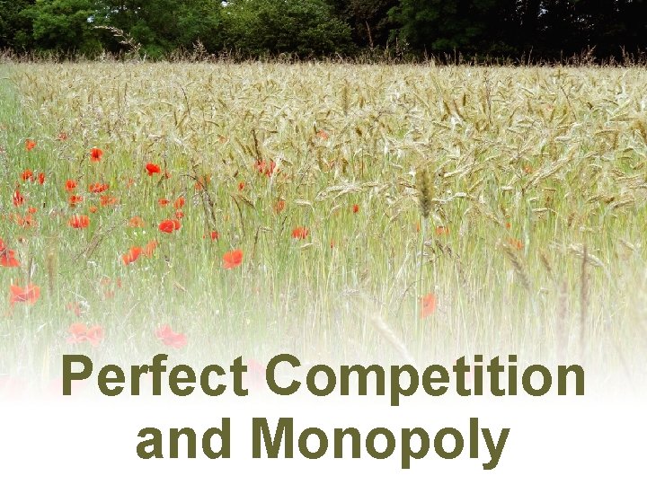 Perfect Competition and Monopoly 