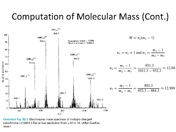 Computation of Molecular Mass (Cont. ) 