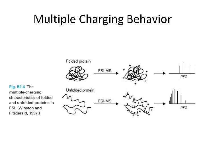 Multiple Charging Behavior 