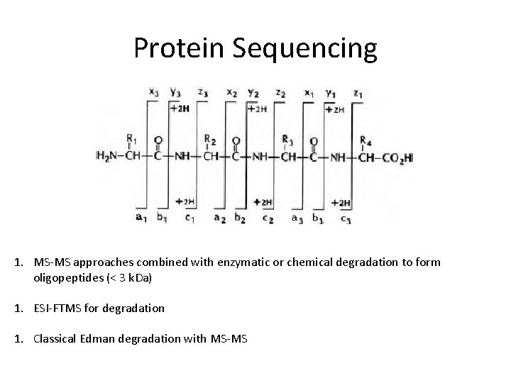 Protein Sequencing 1. MS-MS approaches combined with enzymatic or chemical degradation to form oligopeptides