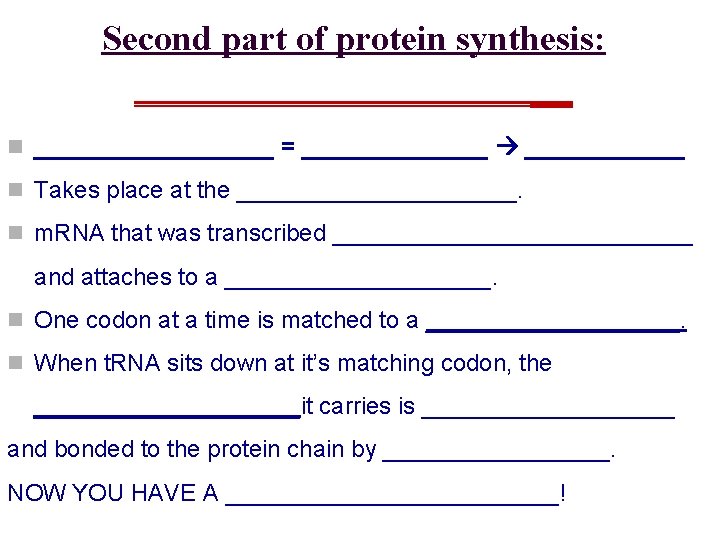 Second part of protein synthesis: ____________ n _________ = _______ n Takes place at