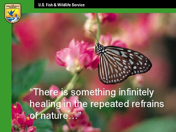 “There is something infinitely healing in the repeated refrains of nature…” 