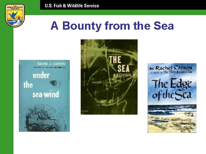 A Bounty from the Sea 