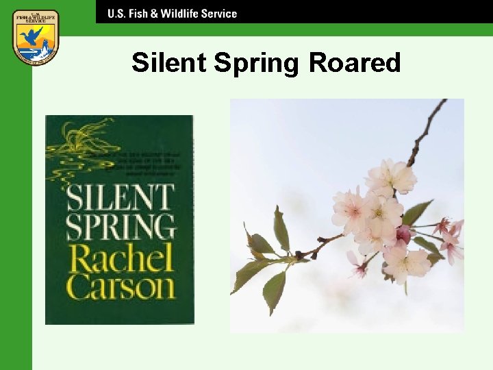 Silent Spring Roared 