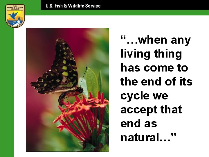 “…when any living thing has come to the end of its cycle we accept