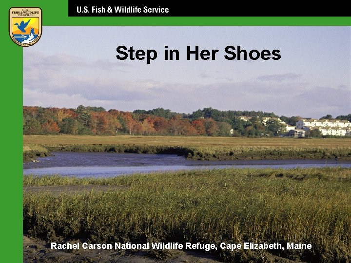 Step in Her Shoes Rachel Carson National Wildlife Refuge, Cape Elizabeth, Maine 