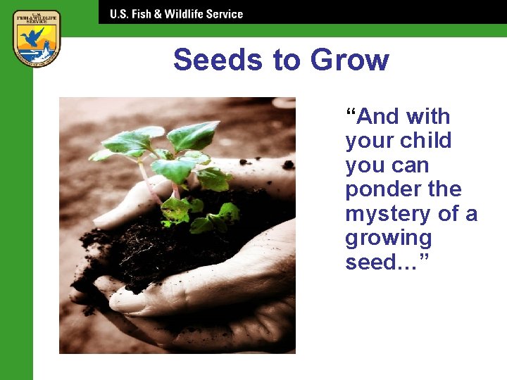 Seeds to Grow “And with your child you can ponder the mystery of a