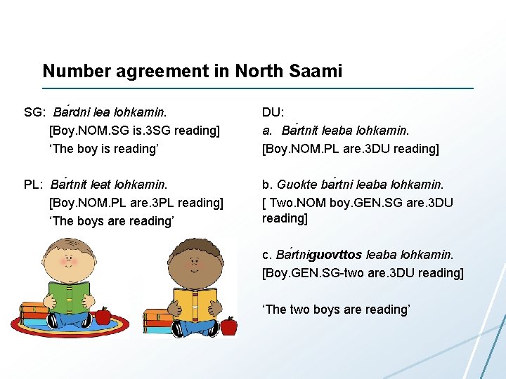 Number agreement in North Saami SG: Ba rdni lea lohkamin. [Boy. NOM. SG is.