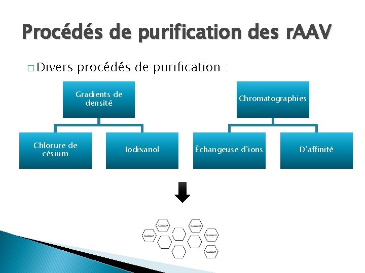 Procédés de purification des r. AAV � Divers procédés de purification : Gradients de Procédés de purification des r. AAV � Divers procédés de purification : Gradients de
