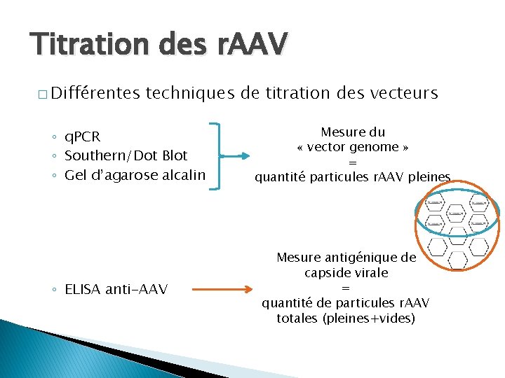 Titration des r. AAV � Différentes techniques de titration des vecteurs ◦ q. PCR Titration des r. AAV � Différentes techniques de titration des vecteurs ◦ q. PCR