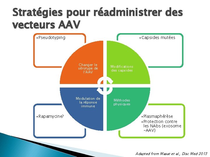 Stratégies pour réadministrer des vecteurs AAV • Pseudotyping • Rapamycine? • Capsides mutées Changer Stratégies pour réadministrer des vecteurs AAV • Pseudotyping • Rapamycine? • Capsides mutées Changer
