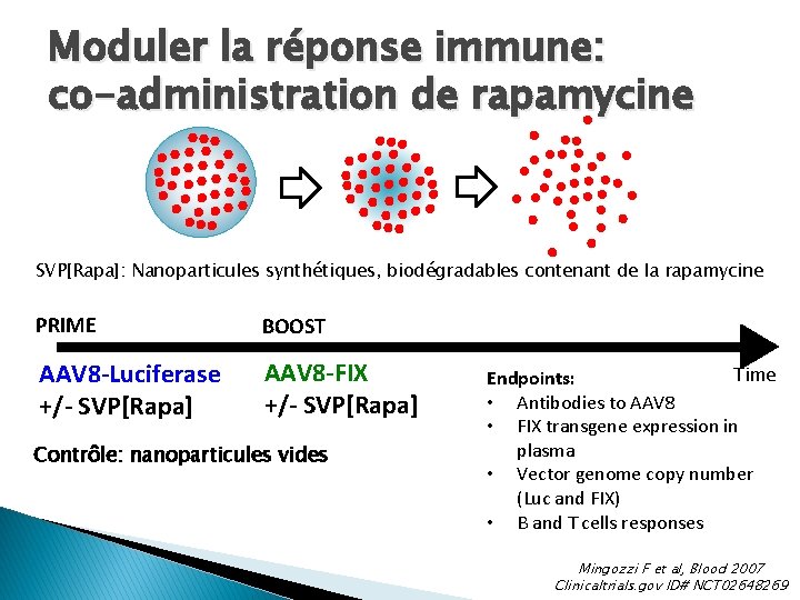 Moduler la réponse immune: co-administration de rapamycine SVP[Rapa]: Nanoparticules synthétiques, biodégradables contenant de la
