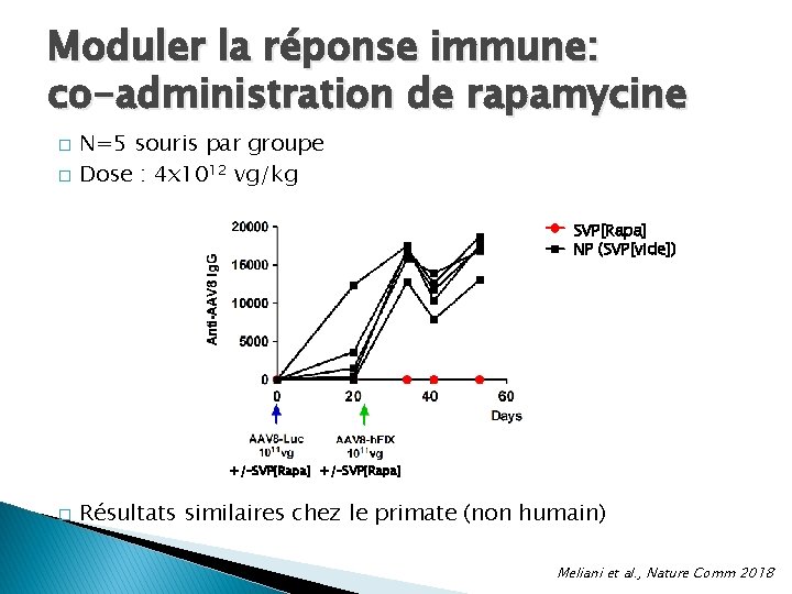 Moduler la réponse immune: co-administration de rapamycine � � N=5 souris par groupe Dose Moduler la réponse immune: co-administration de rapamycine � � N=5 souris par groupe Dose