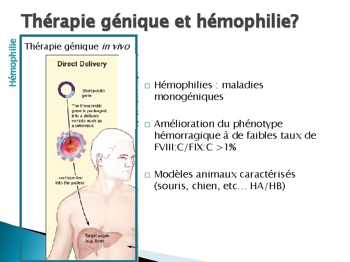 Hémophilie Thérapie génique et hémophilie? Thérapie génique in vivo � � � Hémophilies : Hémophilie Thérapie génique et hémophilie? Thérapie génique in vivo � � � Hémophilies :