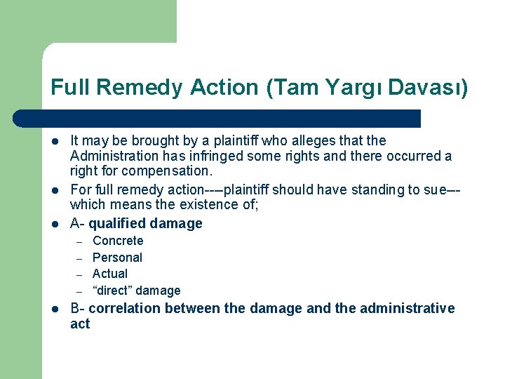 Full Remedy Action (Tam Yargı Davası) l l l It may be brought by